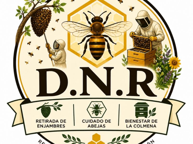 D.N.R Retirada de enjambres en comarca de Villahermosa (Ciudad Real)