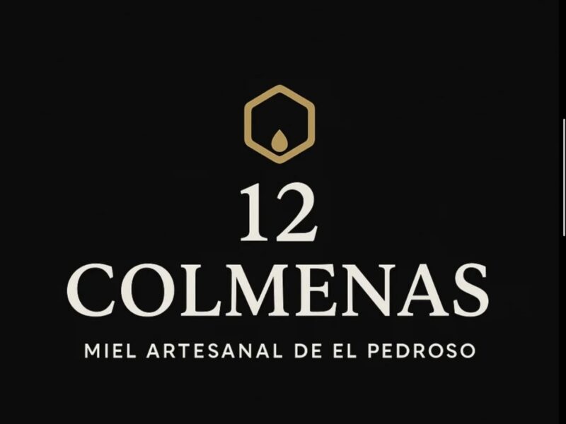 Doce colmenas. Retirada de enjambres en Sevilla