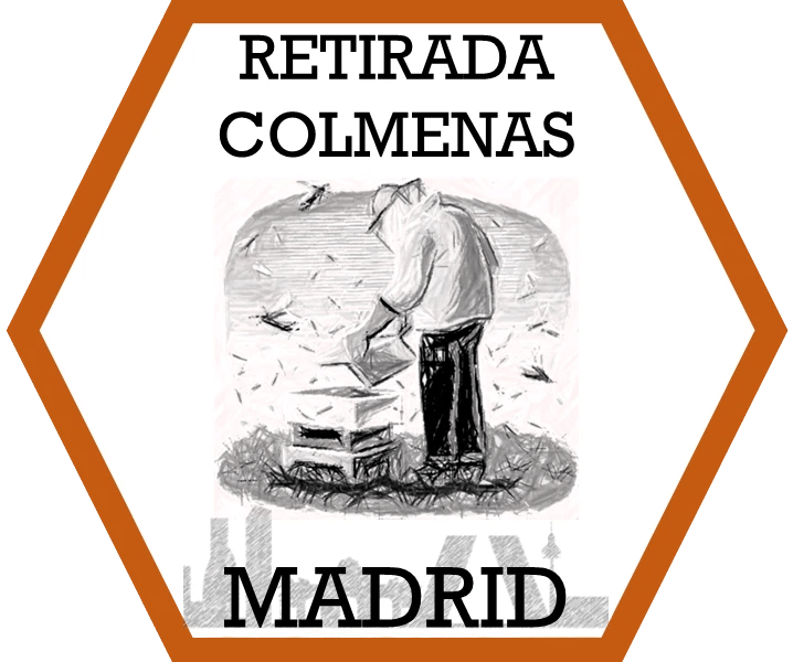 Retirada de enjambres en la provincia de Madrid y alrededores